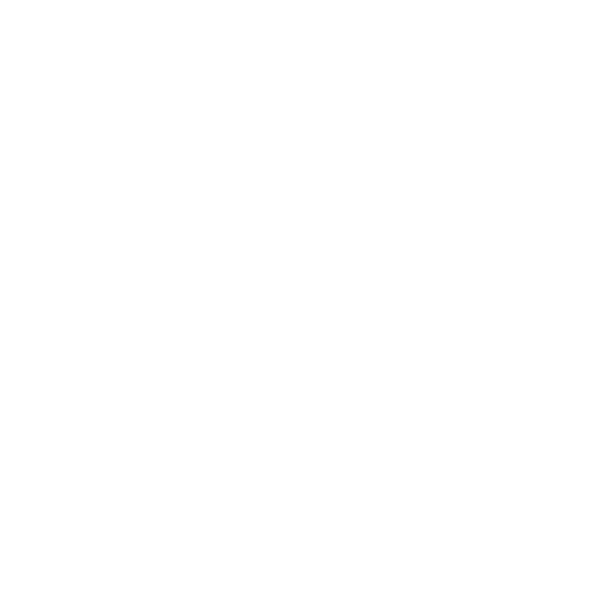 Shopify Search Specialists
